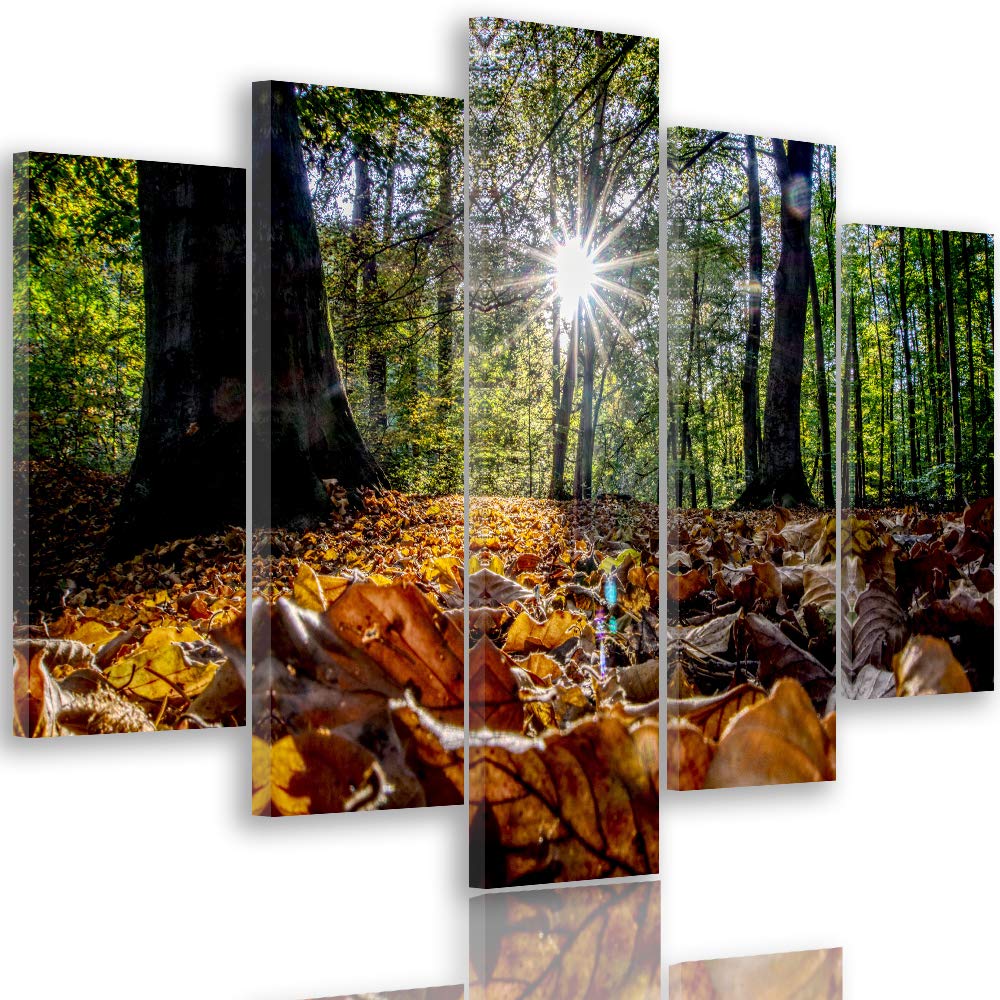 Feeby Leinwandbild 5 Teilig Blätter Bild Wanddeko Bäume Sonne Landschaft orange 200x100 cm Leinwandb