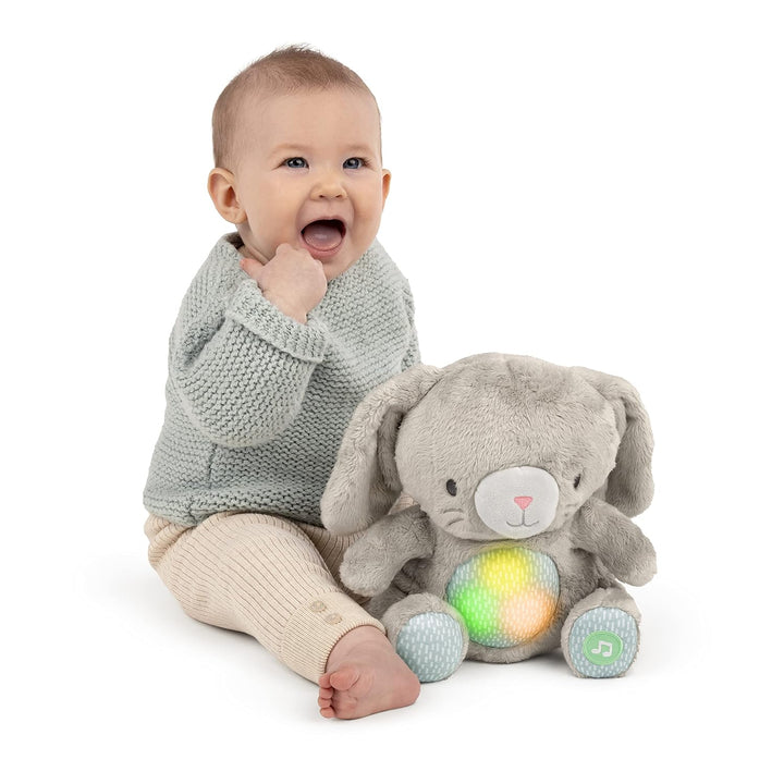 Ingenuity Heart to Hugs Sylvi Wohlfühl Plüschhase, Lichter und Geräusche durch Schütteln des Spielze