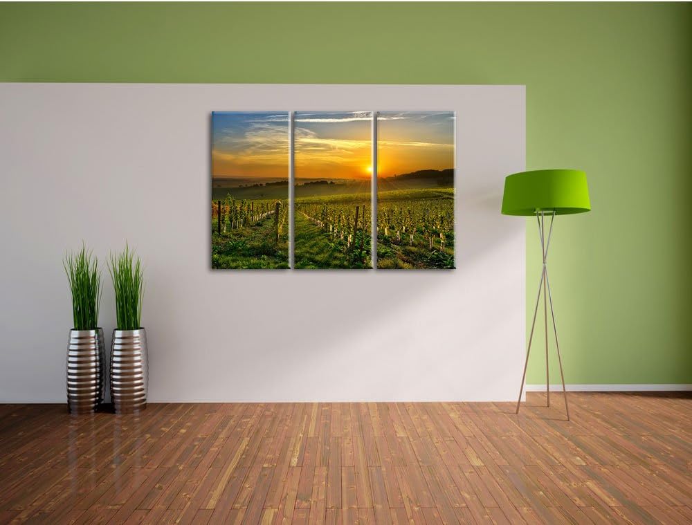 Pixxprint Weinberg in Bergerac Frankreich als Leinwandbild | Grösse: 3 Teilig (120x80) | Wandbild| K
