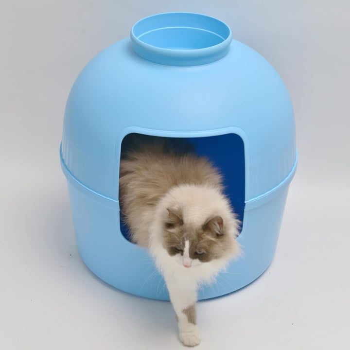 RHRQUALITY Katzentoilette – Flower XXL – Versteckte Katzentoilette – Für grosse Katzen – Mit grossem