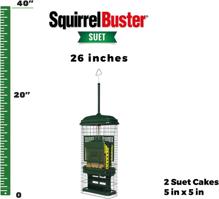 Squirrel Buster Talg Eichhörnchensicher Talg Vogelfutterstation mit Zwei Talgkuchenschalen, Zwei Krü