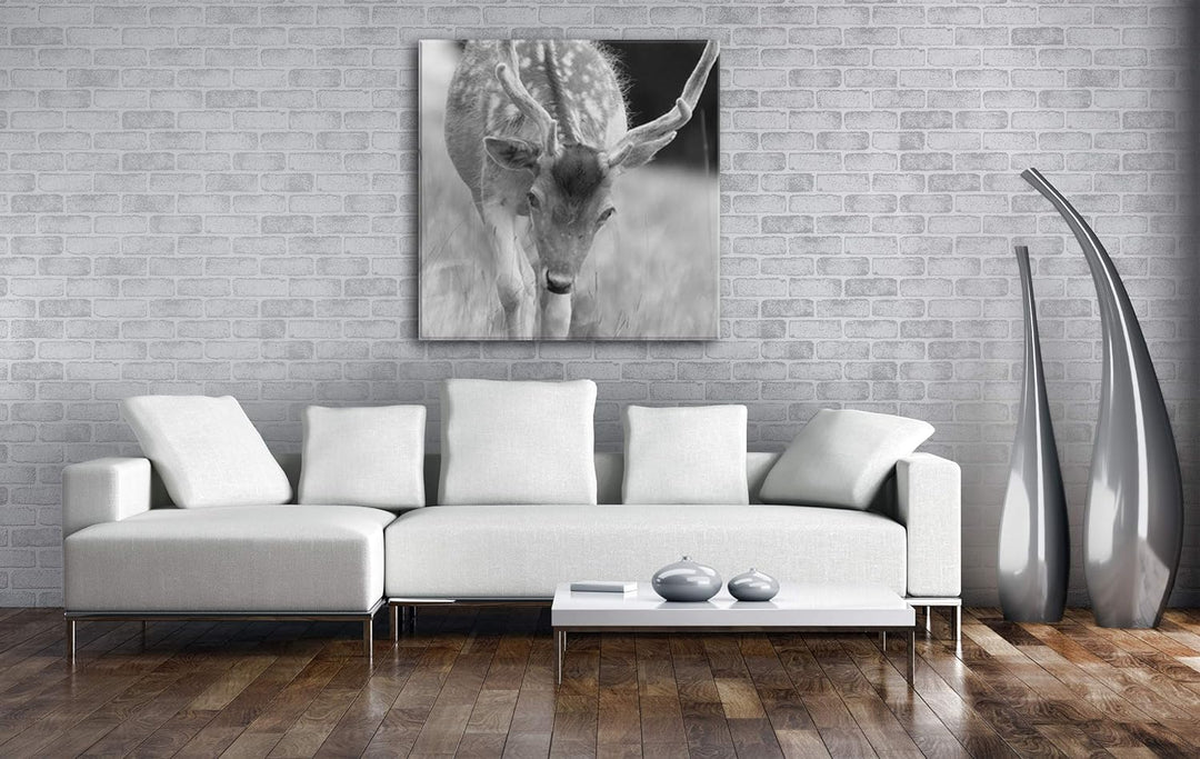 deyoli ruhiger junger Hirsch Format: 60x60 Effekt: Schwarz&Weiss als Leinwandbild, Motiv fertig gera