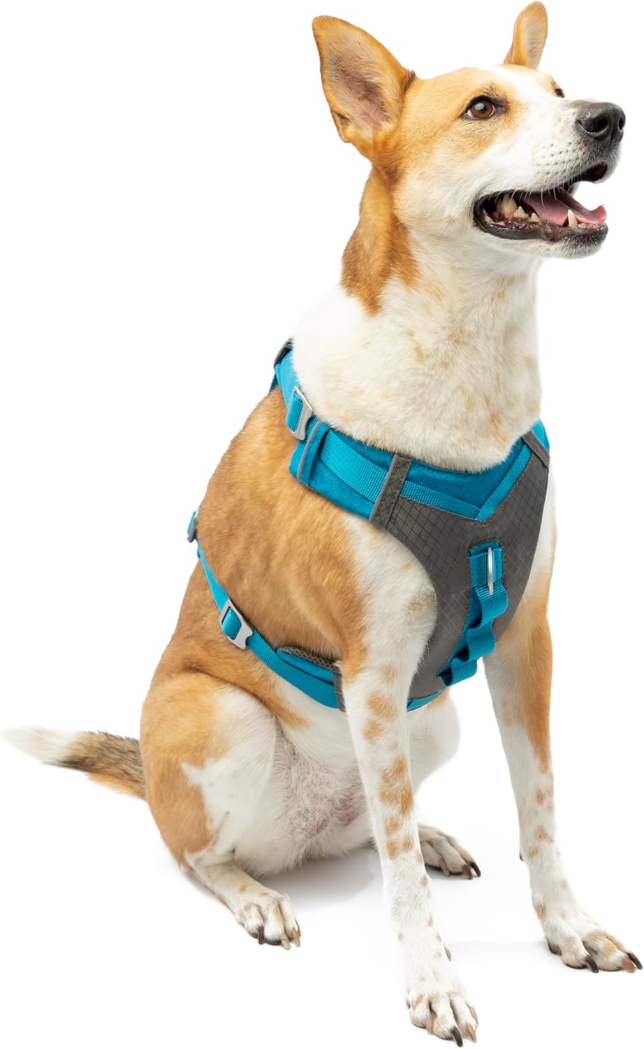 Kurgo Journey Air Hundegeschirr, Mit gepolstertem Brustteil und Rückgriff, Optimal für aktive Hunde,