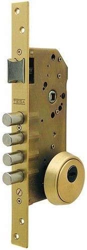 tesa R200B – Schloss mit Bolzen 50 T60 60 mm Eisen Nickel Messing. Cil. 30x30mm R201B, Messing. Cil.
