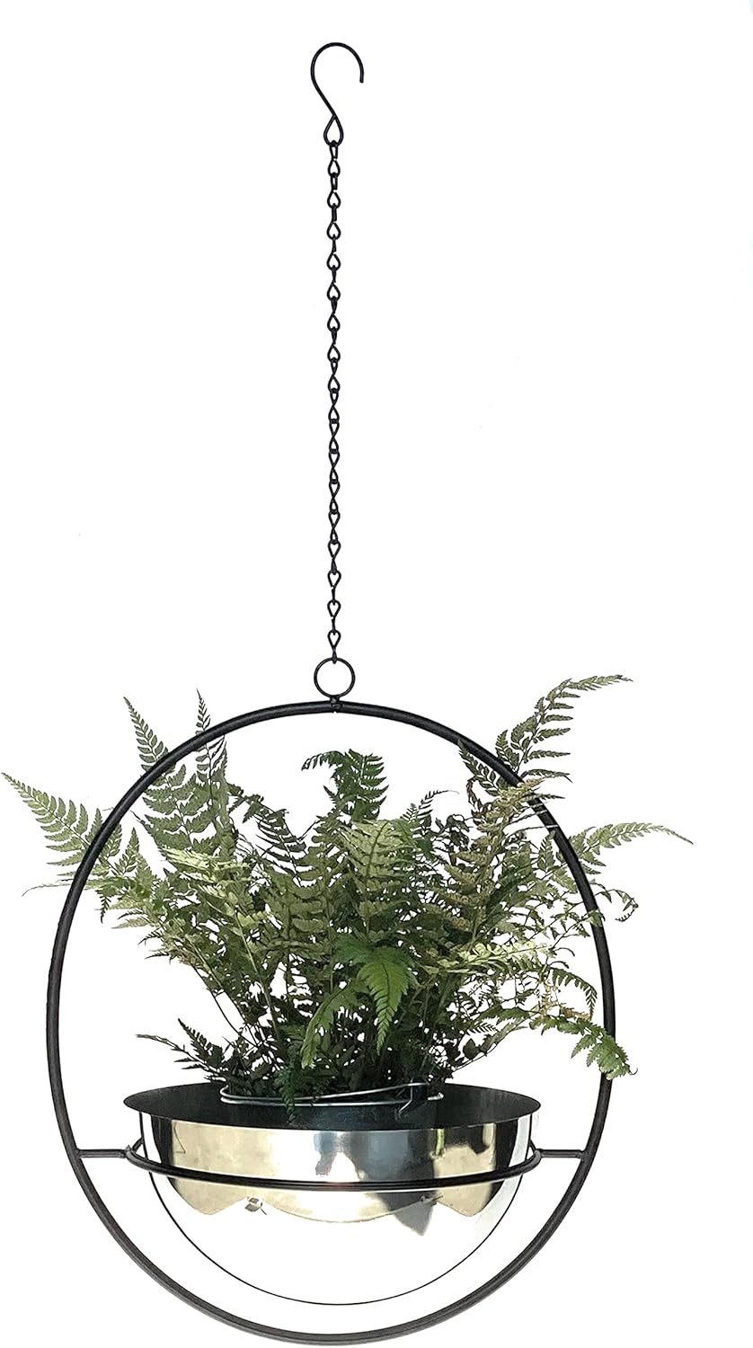 DanDiBo Blumenampel Innen Metall Wand Hängepflanzen 78 cm 96087 L mit Topf Silber Pflanzenhänger Blu