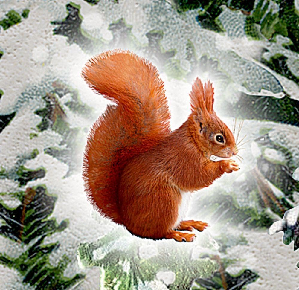 Wandkalender: Weihnachtslaterne, Kalender