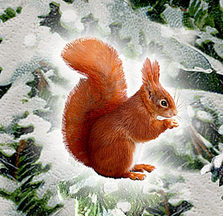 Wandkalender: Weihnachtslaterne, Kalender
