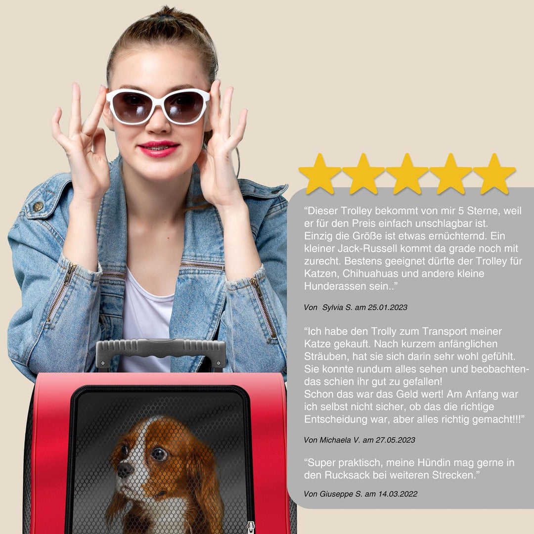 All Pets United Hunde-Trolley Haustier Tragetasche Transportbox für Hunde und Katzen Tier-Trolley Ha