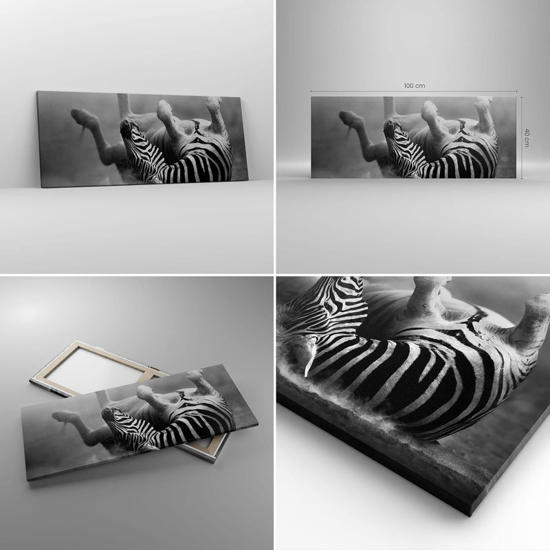 Panorama Bilder auf Leinwand 100x40cm Leinwandbild Zebra Streifen Tier wild Gross Wanddeko Bild Schl