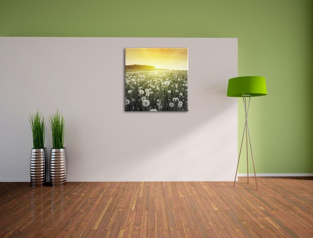 Pixxprint Pusteblumen Sonnenuntergang als Leinwandbild/Grösse: 70x70 cm/Wandbild/Kunstdruck/fertig b