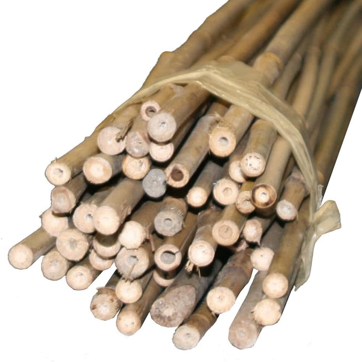 Bambus-Stäbe 90cm, Ø 9-12mm (100), 100