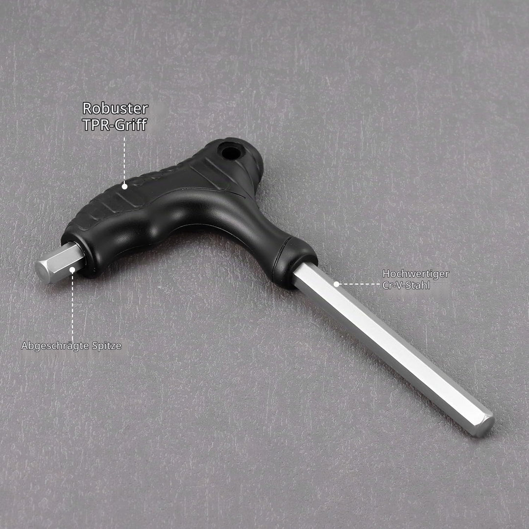 QWORK® 10 Stücke Innensechskantschlüssel Set, 2-10mm Sechskantschraubendrehe mit T-Griff, für Fahrra