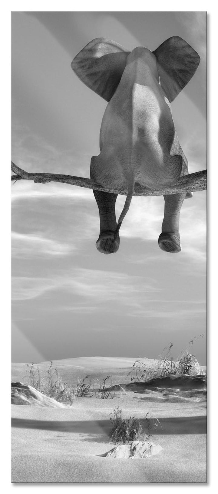 Glasbild Panorama | Wandbild aus Echtglas | Elefant auf einem Ast in der Wüste | 100x40 cm | inkl. A