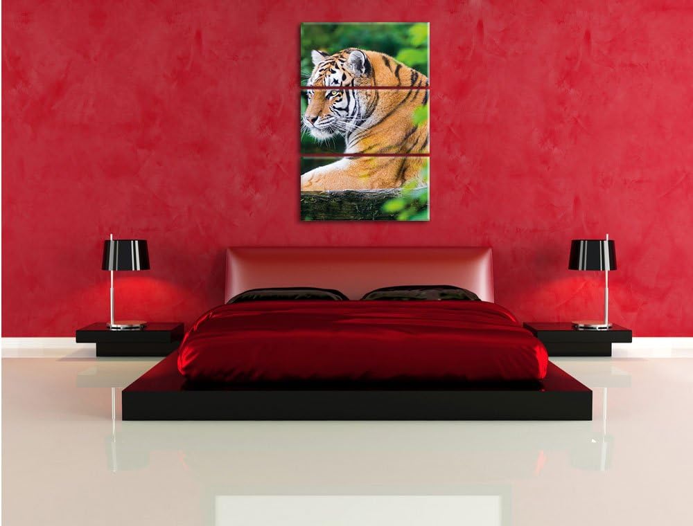 Pixxprint anmutiger Tiger auf Baumstamm als Leinwandbild/Grösse: 3 Teilig (120x80) cm/Wandbild/Kunst