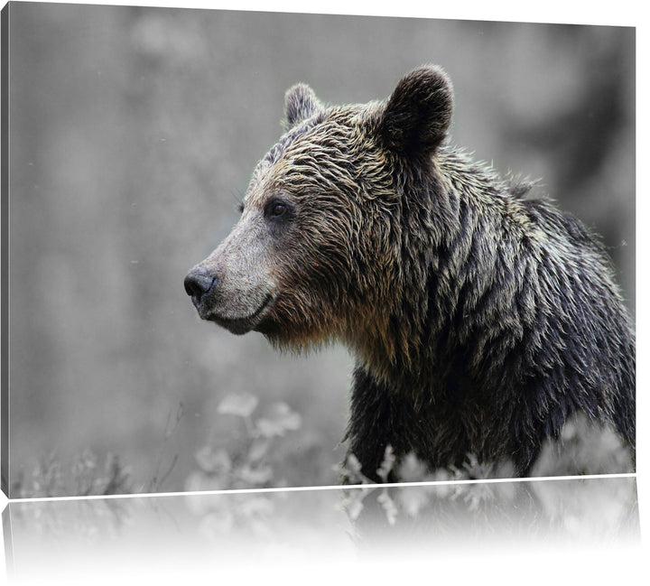 einsamer Bär im Wald schwarz/weiss Format: 100x70 auf Leinwand, XXL riesige Bilder fertig gerahmt mi