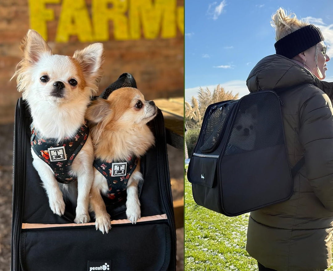 pecute Katzenrucksack Haustier Rucksack mit Netzfenster, Tragbare und Faltbare Katzentasche, Atmungs
