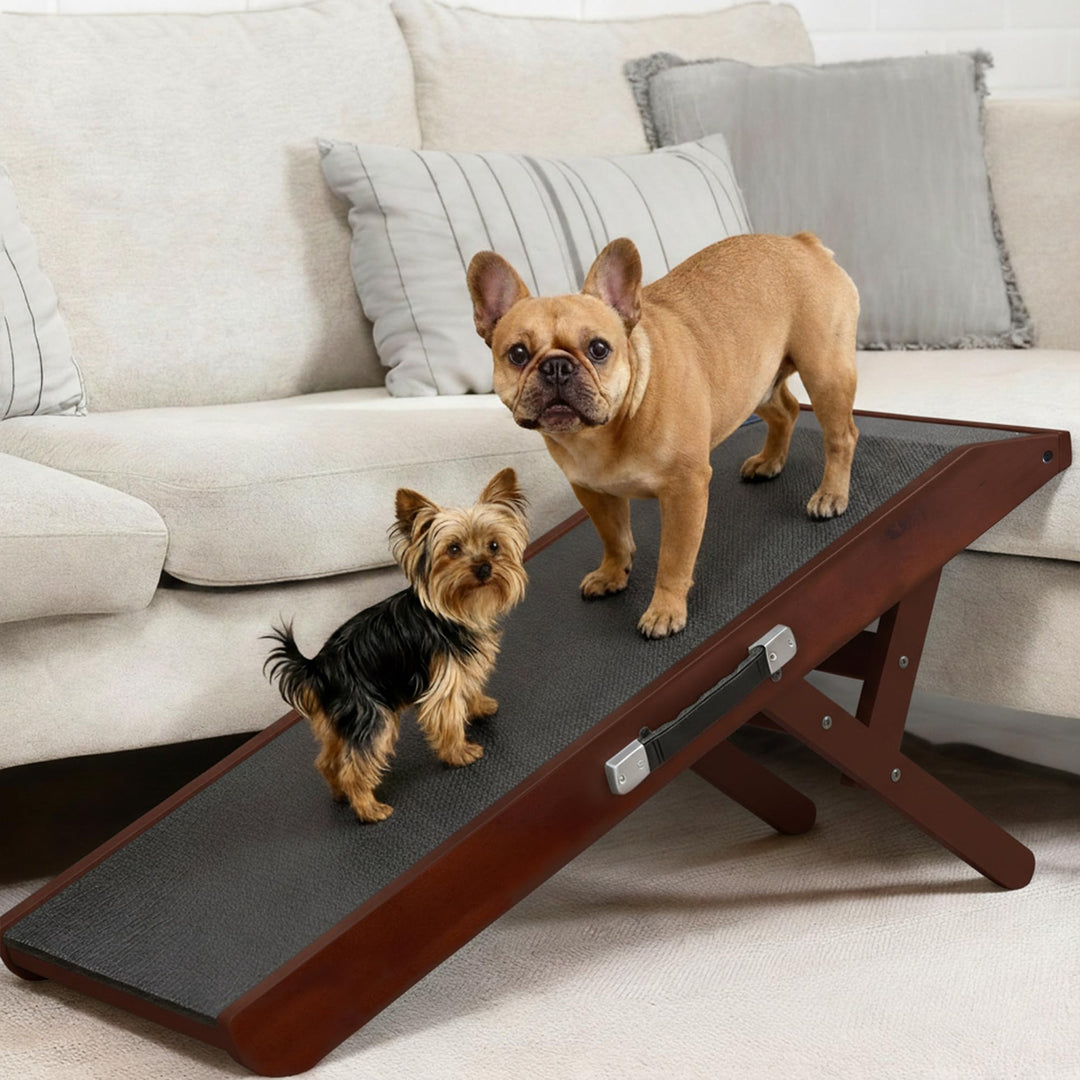 Hunderampe - Hundetreppe für kleine Hunde und grosse Hunde - Einstellbar 18-53 cm - Für Bett,Sofa -