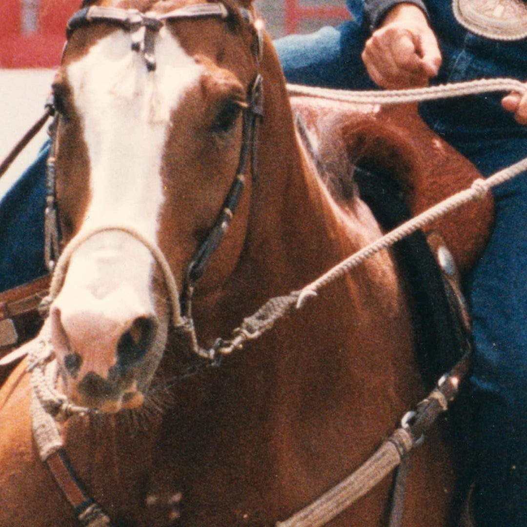 Classic Equine Bozo Sidepull Hackamore 7 1/2In, 7 1/2In