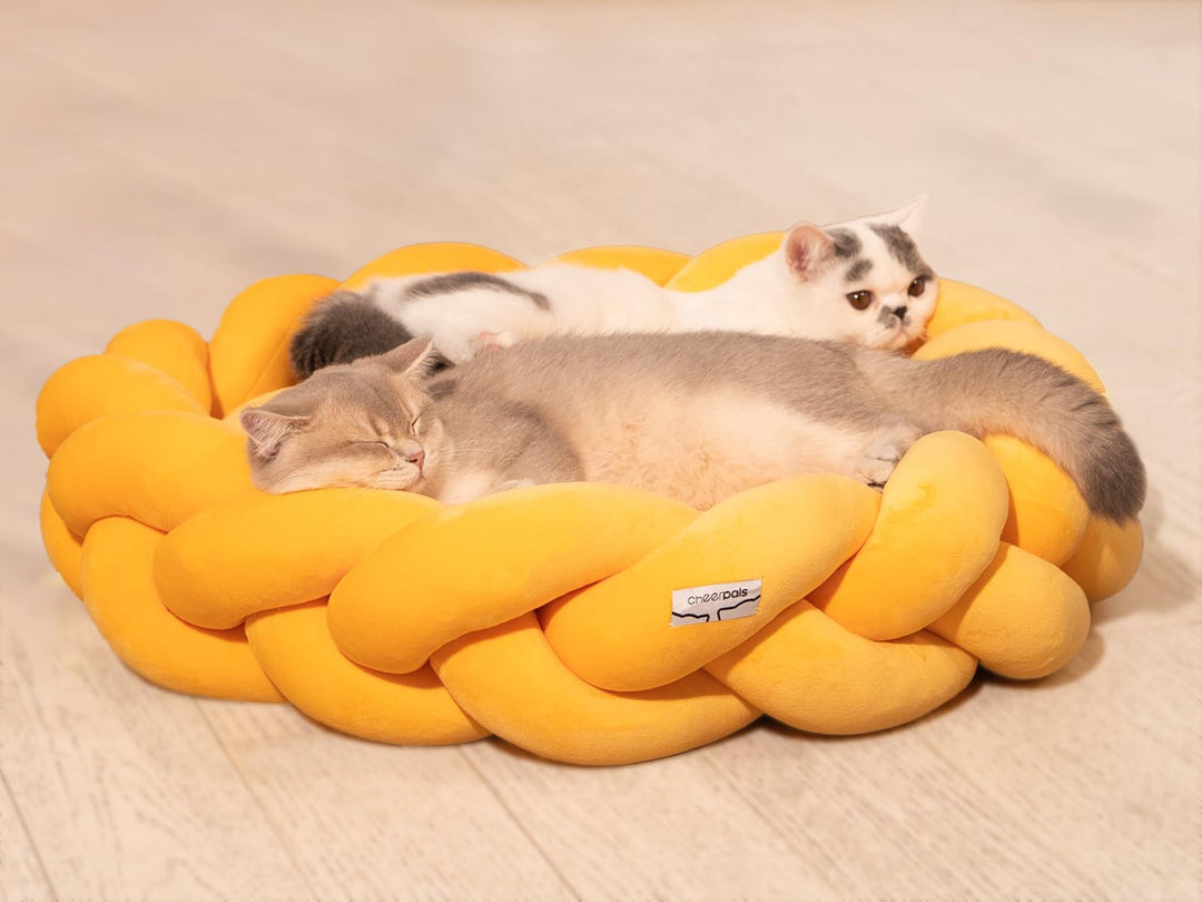 CheerPals Grosses Katzenbett 60cm, Waschbar Geflochtenes Kuschelhöhle, Hundebett mit Hochelastischer