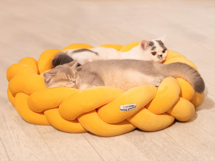 CheerPals Grosses Katzenbett 60cm, Waschbar Geflochtenes Kuschelhöhle, Hundebett mit Hochelastischer