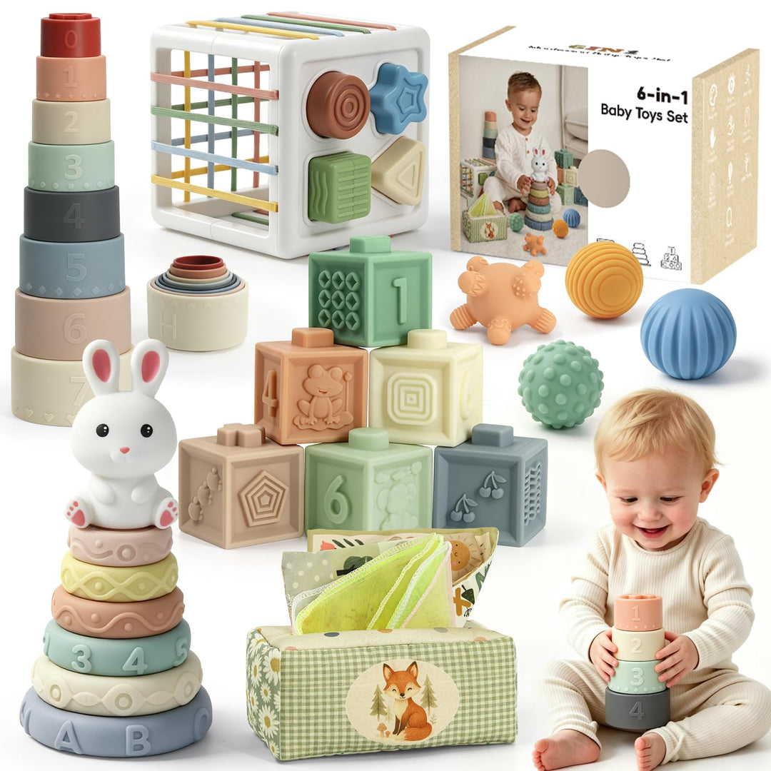 Anook Montessori Spielzeug Baby ab 6 Monate, Baby Spielzeug 6 8 9 10 Monate | Babyspielzeug ab 6 Mon