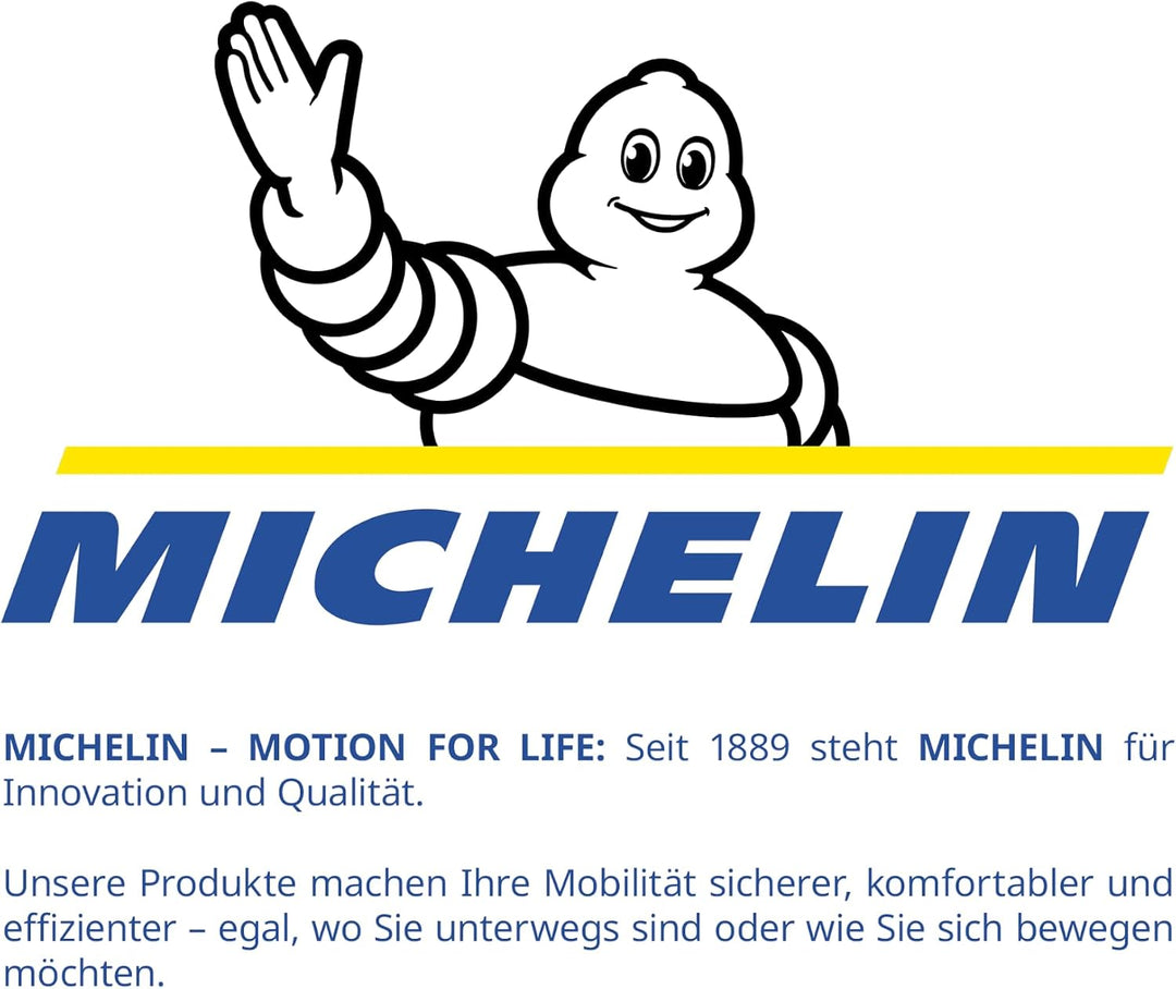 Michelin 92002 41006 Radkappen 15 Zoll Universal Radzierblenden Monique 4er Set Fürs Auto ABS Kunsts