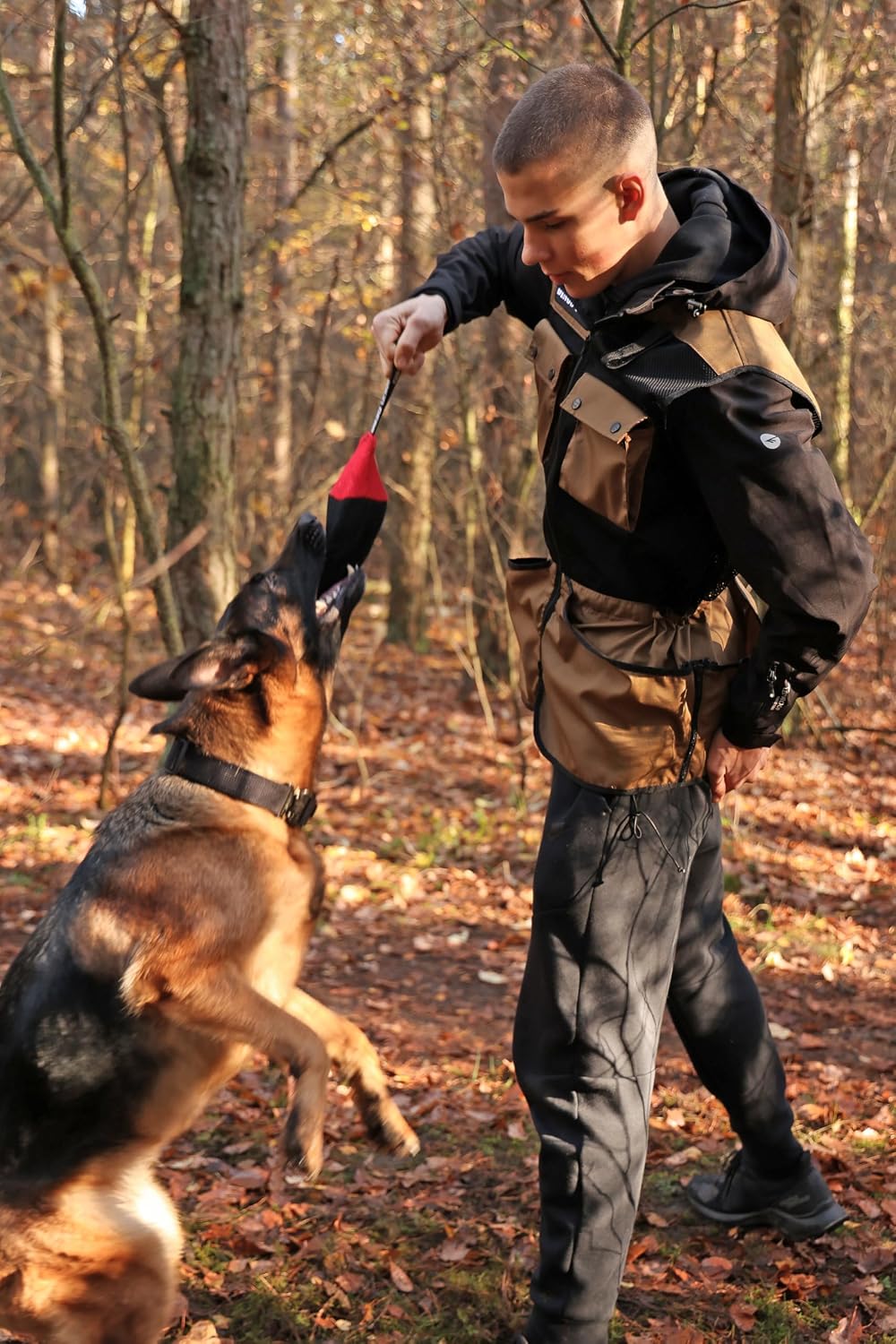 DINGO GEAR Professional Vest for Dog Training D35 XXL, XXL