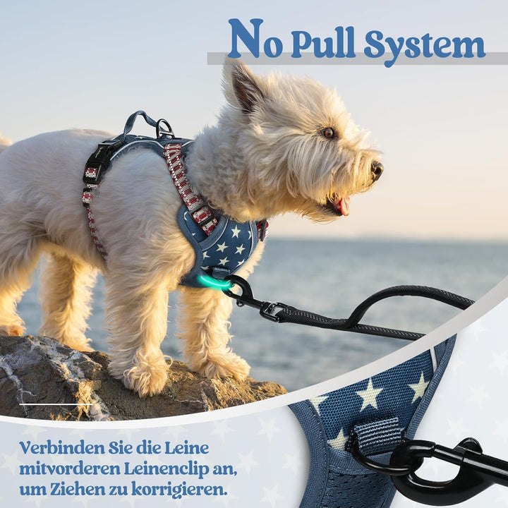 rabbitgoo Hundegeschirr Mittelgrosse Hunde, Anti Zug Geschirr mit Kontrolle, No Pull Verstellbar Hun