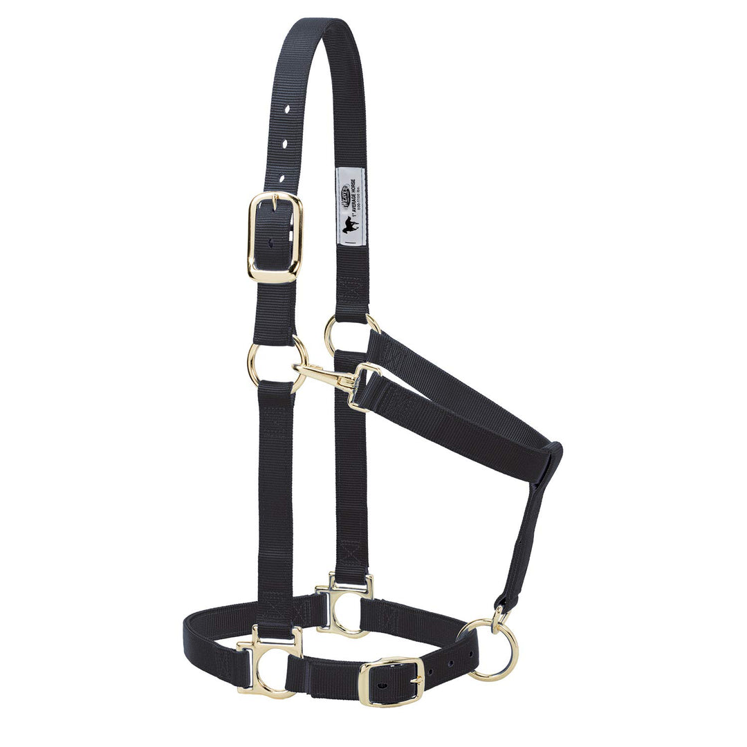 Weaver Leather Basic verstellbares Halfter Schwarz Large Horse, Schwarz Large Horse