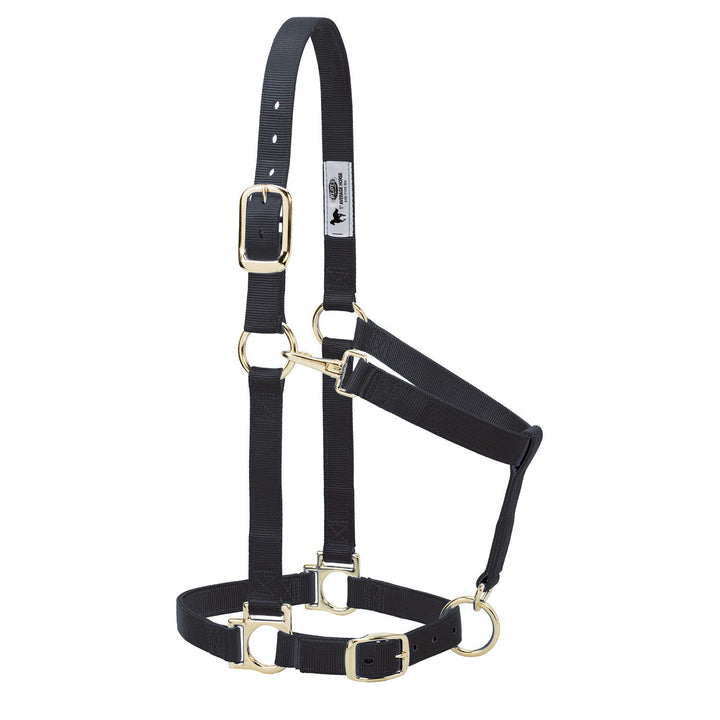 Weaver Leather Basic verstellbares Halfter Schwarz Large Horse, Schwarz Large Horse