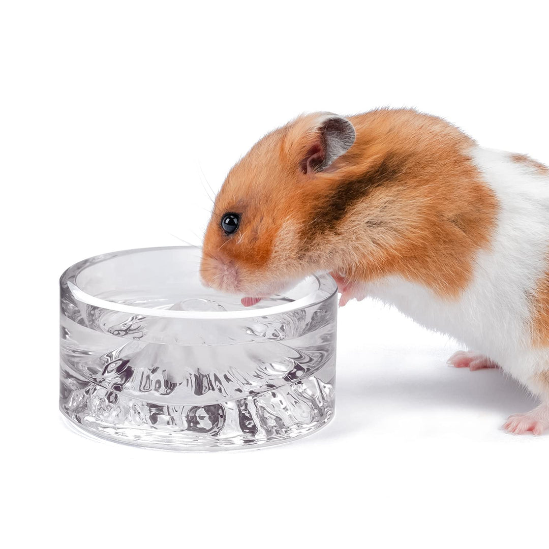 Niteangel Hamster-Futter- und Wasserschalen – Kleine Tier-Trinkschalen aus Glas für Zwerghamster, Wü