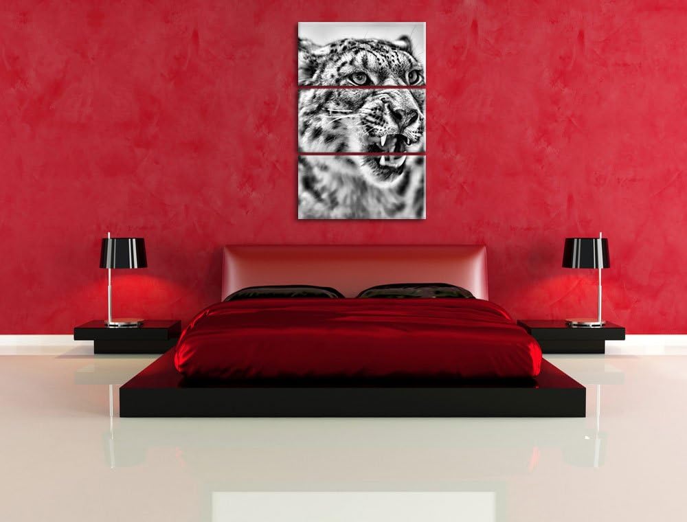 Pixxprint Schneeleopard zeigt Zähne als Leinwandbild/Grösse: 3 Teilig (120x80) cm/Wandbild/Kunstdruc