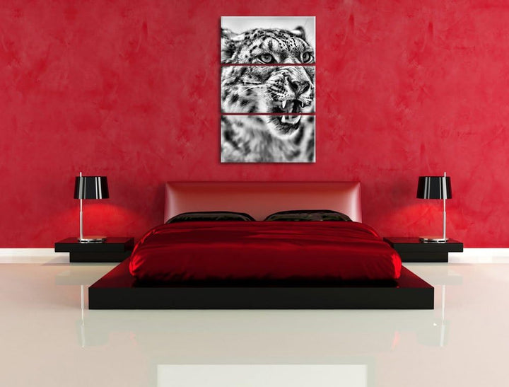 Pixxprint Schneeleopard zeigt Zähne als Leinwandbild/Grösse: 3 Teilig (120x80) cm/Wandbild/Kunstdruc