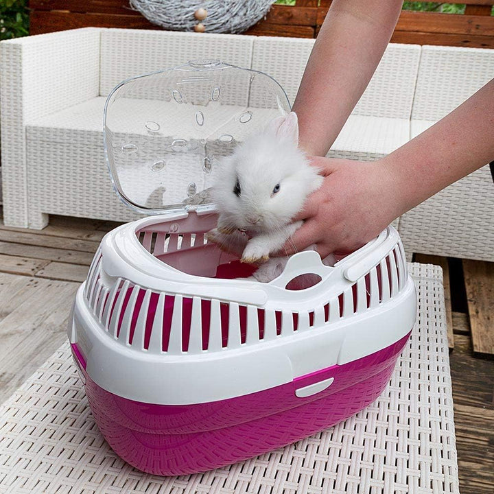 Ferplast Transportbox für Hamster und andere kleine Nagetiere Aladino Large Reisekäfig für Hamster,