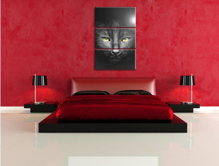 Pixxprint Katzenkopf mit düsterem Hintergrund schwarz/weiss als Leinwandbild/Grösse: 3 Teilig (120x8
