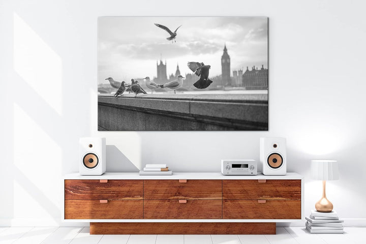deyoli Tauben in London Format: 80x60 cm Effekt: Schwarz&amp;Weiss als Leinwandbild, Motiv fertig gerahm