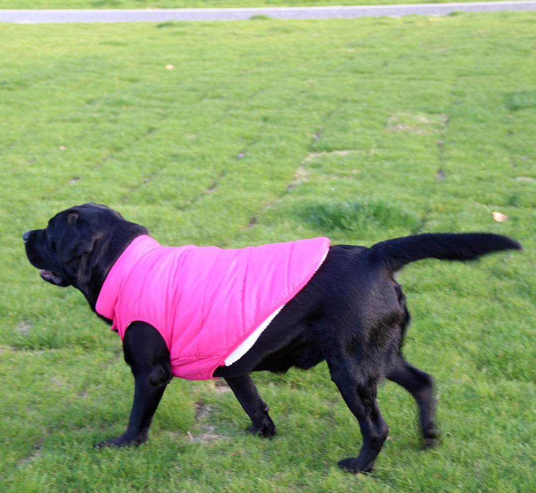 2-lagige mit Fleece gefütterte Hundejacke, sehr warm für Winter und kaltes Wetter, extraweiche, wind