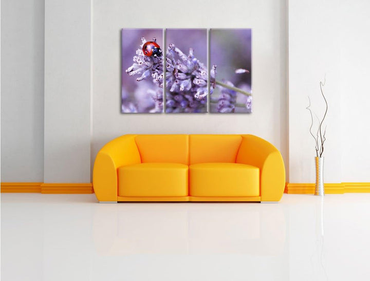 Pixxprint Kleiner Marienkäfer auf Lavendel als Leinwandbild/Grösse: 3Teilig (120x80) / Wandbild/Kuns