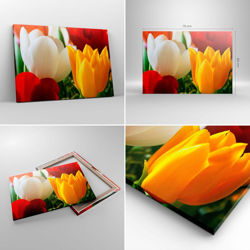 Bilder auf Leinwand Tulpen Vase Blumenstrauss Leinwandbild 70x50cm Wandbilder Dekoration Wohnzimmer