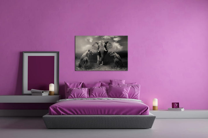 Tiere der Safarie Format: 80x60 als Leinwandbild, Motiv fertig gerahmt auf Echtholzrahmen, Hochwerti