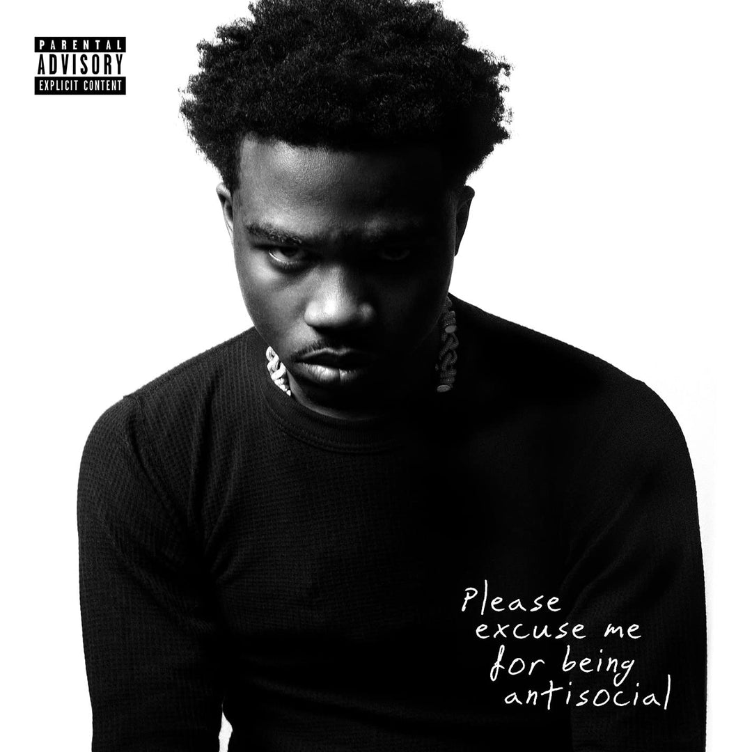 Please Excuse Me for Being Antisocial  explicit_lyrics, Vinyl