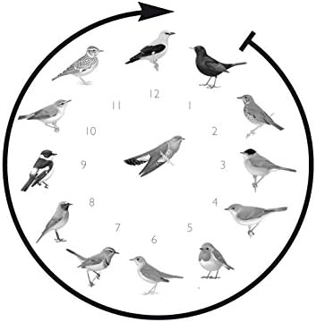 KOOKOO Singvögel Quarzwerk Leaf, Die Singende Vogeluhr, runde Wanduhr mit natürlichen Vogelstimmen,