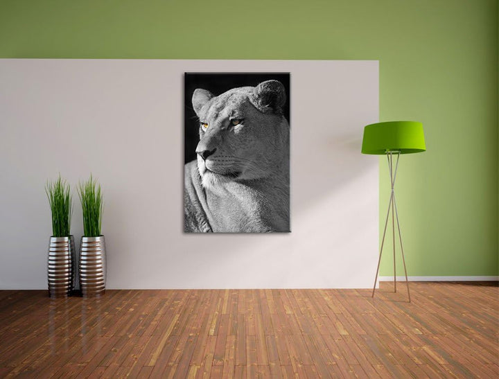 Pixxprint prächtige Löwin schwarz/weiss auf Leinwand, XXL riesige Bilder fertig gerahmt mit Keilrahm