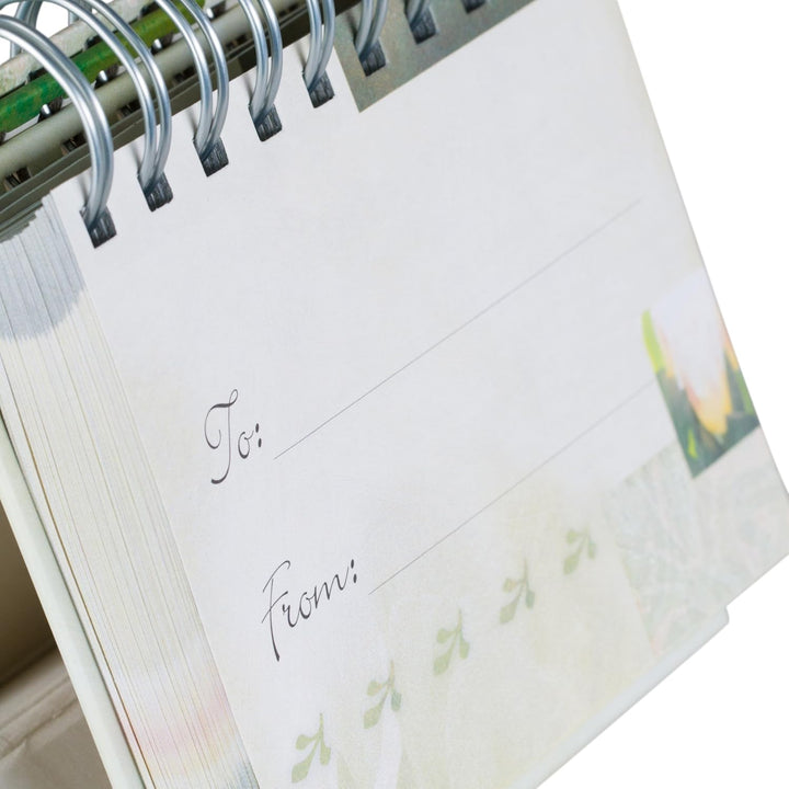 DaySpring Flip-Kalender – Versprechen und Segen – 16766, grün, Grün