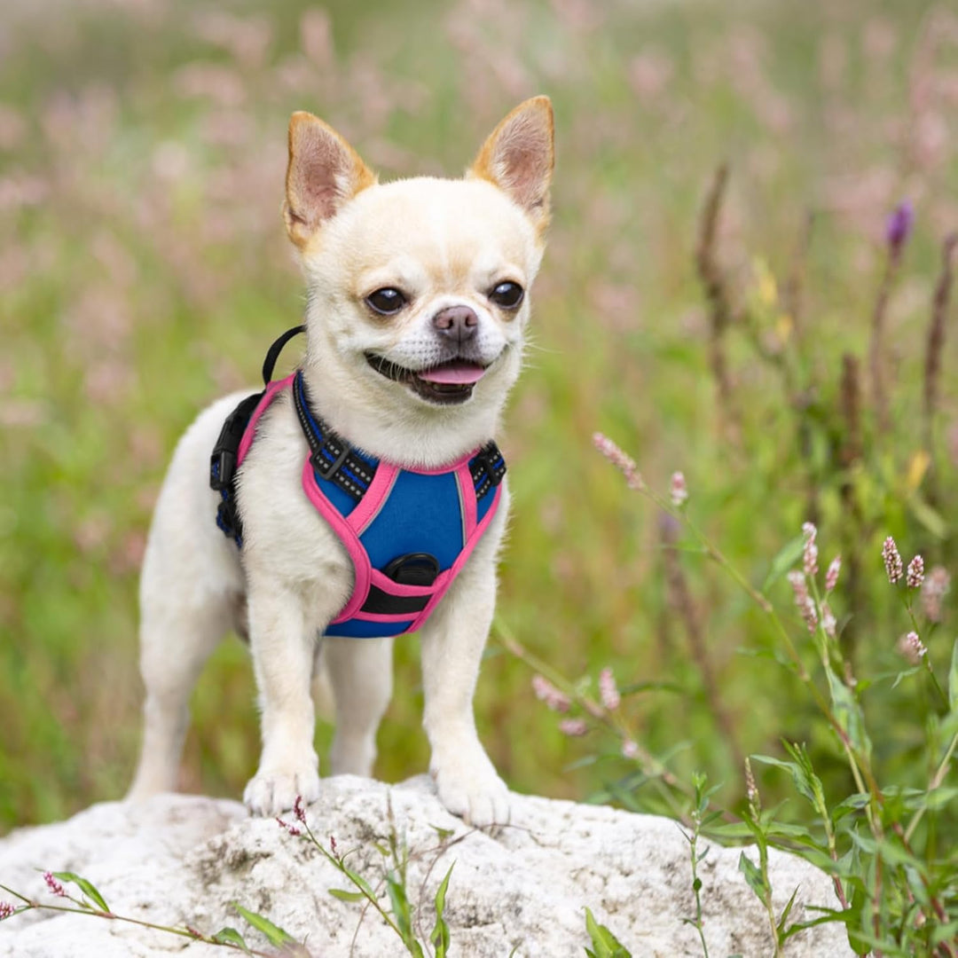 rabbitgoo Hundegeschirr Mittelgrosse Hunde, Anti Zug Geschirr mit Kontrolle, No Pull Verstellbar Hun
