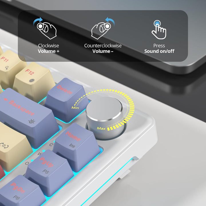 SOLIDEE Verkabelte Mechanische Gaming Tastatur 75 Prozent,hot-swap-fähige Mechanische Tastatur mit G