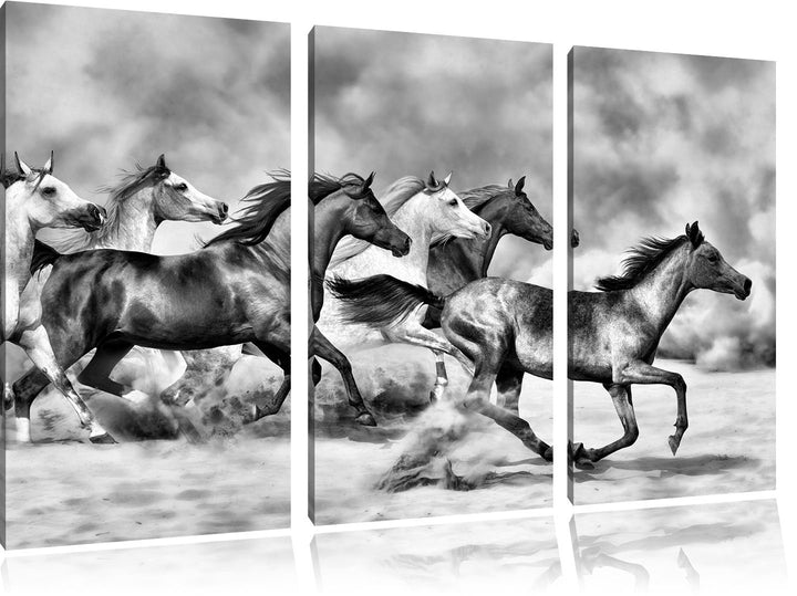 Pixxprint Western Pferde in Wüste als Leinwandbild/Grösse: 3Teilig (120x80) / Wandbild/Kunstdruck/fe