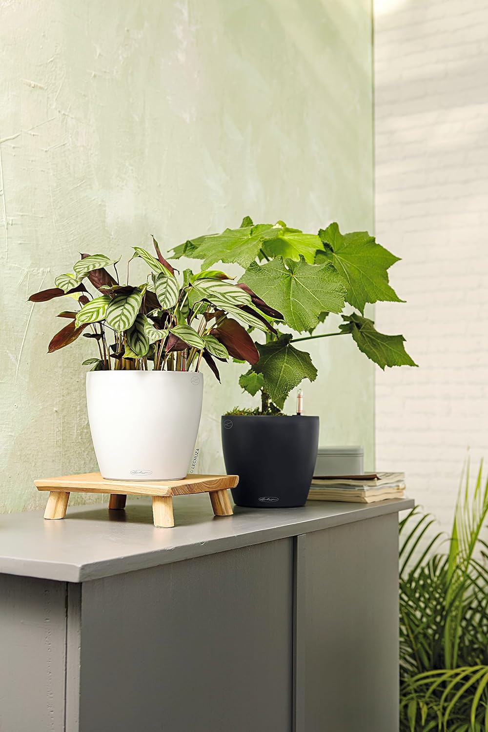 LECHUZA CLASSICO Color 28 weiss 13190 28.5x28.5x26 cm Weiss, 28.5x28.5x26 cm Weiss