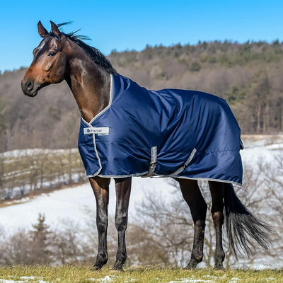 Bucas Freedom Turnout 165 Pferdedecke Light Navy/Silber navy 165, navy 165