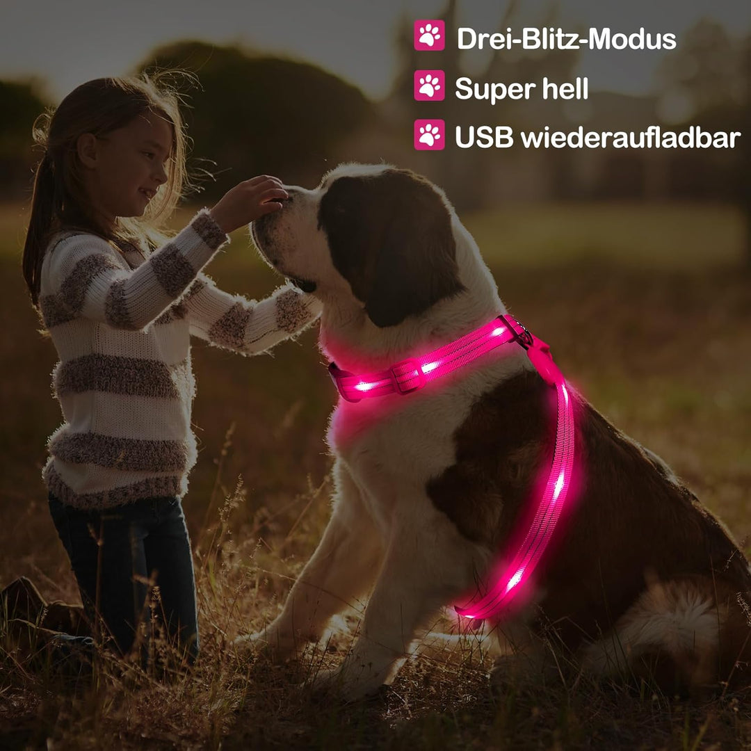 KOSKILL LED Hundegeschirr Wiederaufladbares Beleuchtetes Hundegeschirr Leuchtet Im Dunkeln LED Hunde